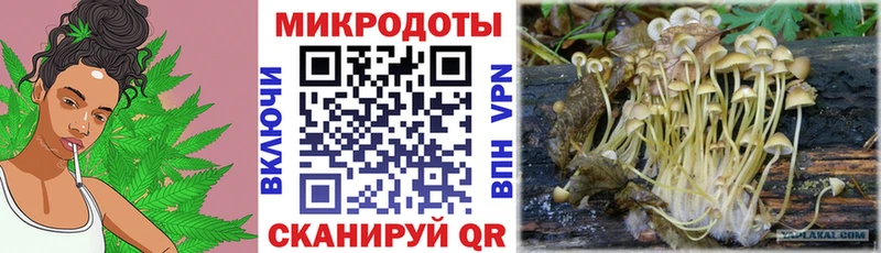 Галлюциногенные грибы прущие грибы  как найти наркотики  Таштагол 