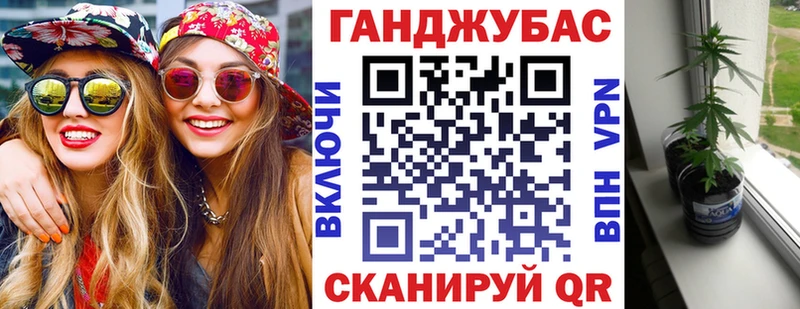 Канабис гибрид  Таштагол 